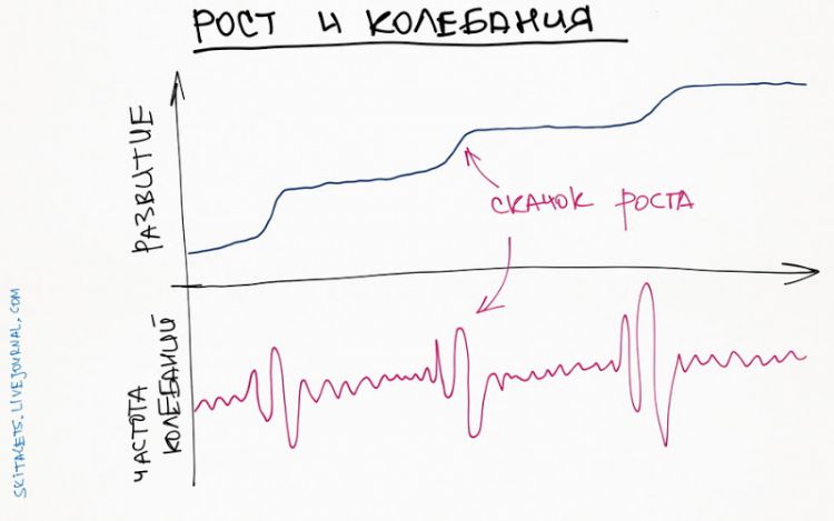 skitalets amplitude