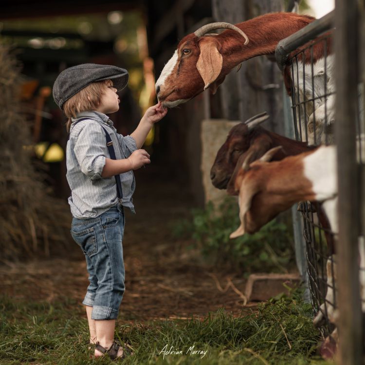 adrian-murray-childrens-summer-005