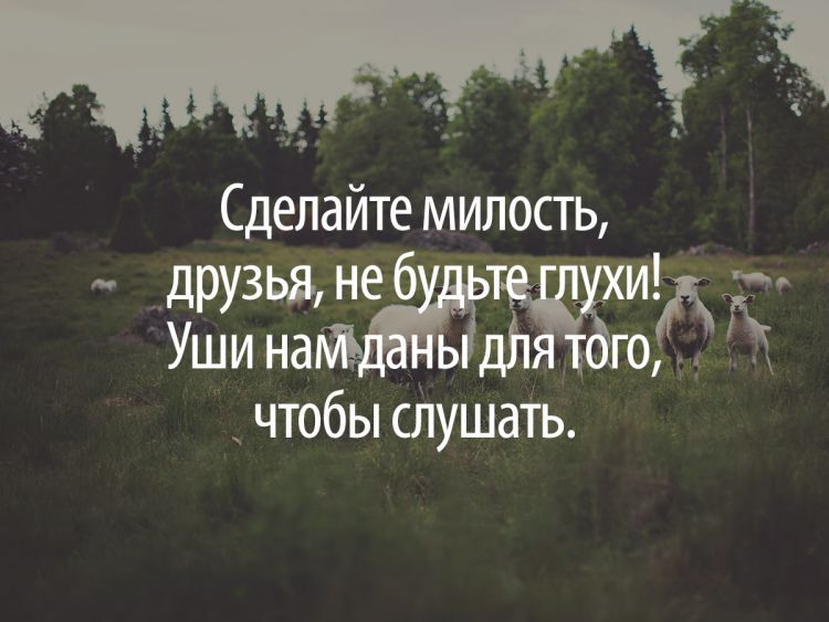 Индийская сказка о четырех глухих