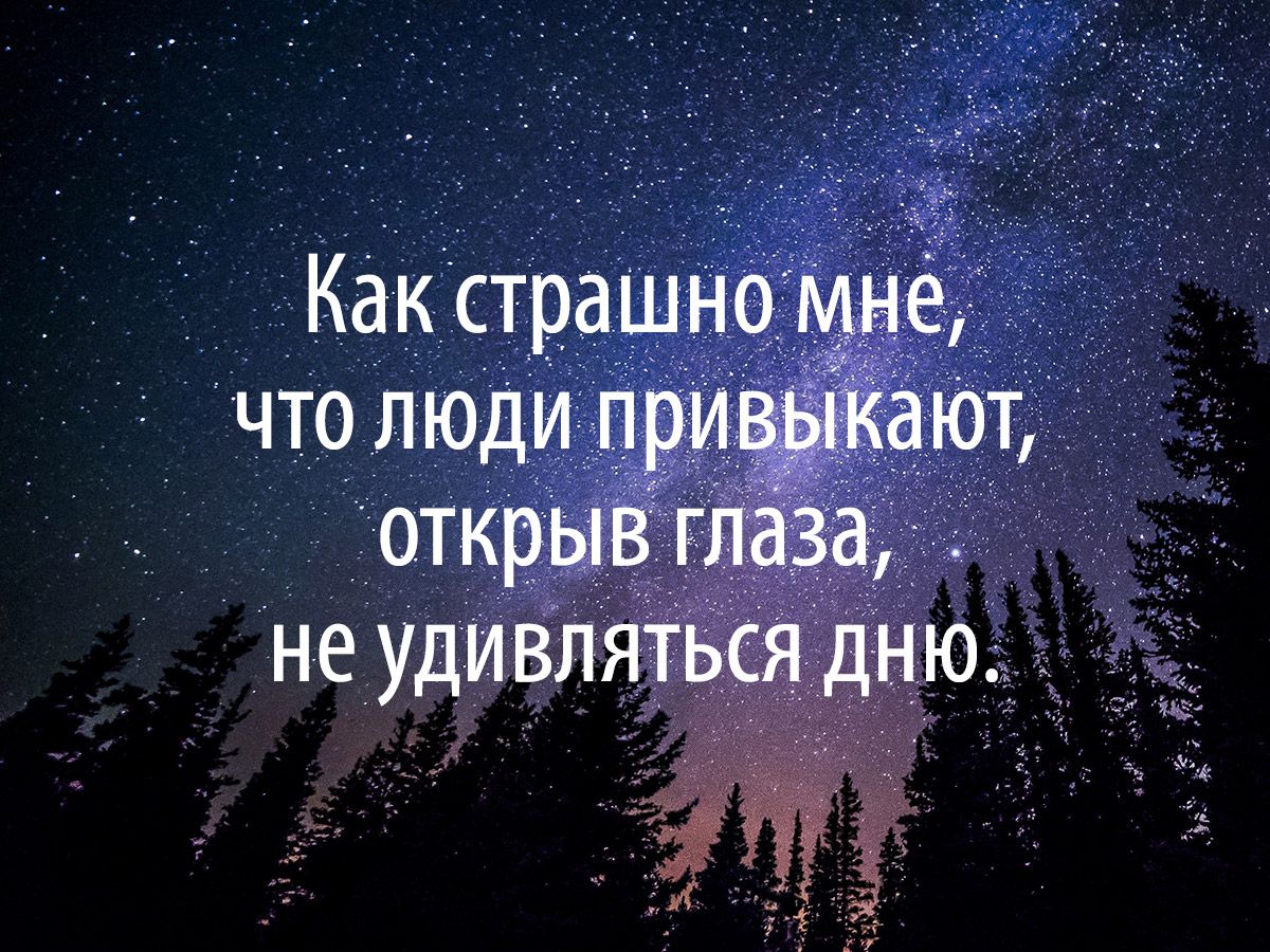 «Над головой созвездия мигают...»