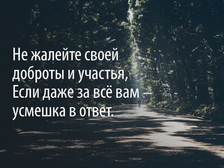 «Никогда ни о чем не жалейте вдогонку...»