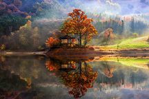 reflection-landscape-photography-jaewoon-u-cover-216x144.jpg